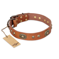"Stunning Dress" FDT Artisan Tan Leather German Shepherd Collar with Old Bronze Look Plates and Studs