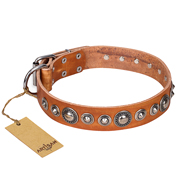 "Daily Chic" FDT Artisan Tan Leather German Shepherd Collar with Decorations