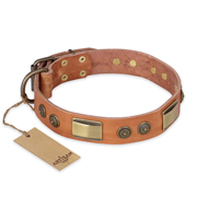"Lost Desert" FDT Artisan Leather German Shepherd Collar with Brass Decorations