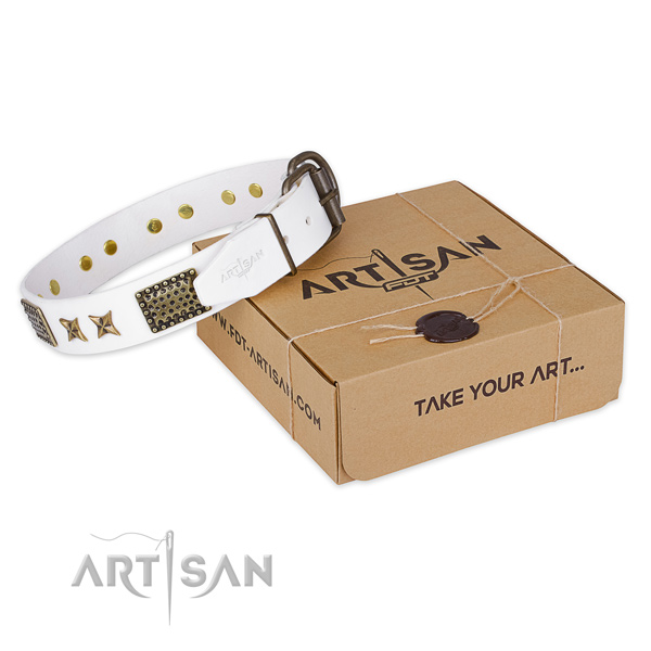 Durable traditional buckle on leather collar for your lovely pet