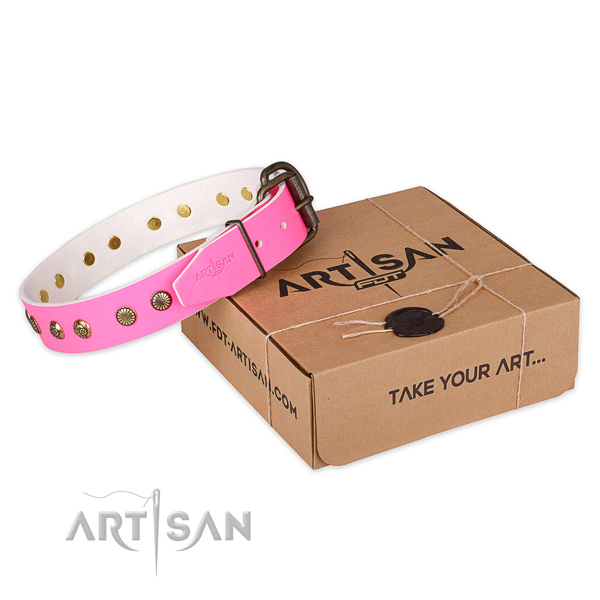 Reliable traditional buckle on full grain leather collar for your lovely doggie