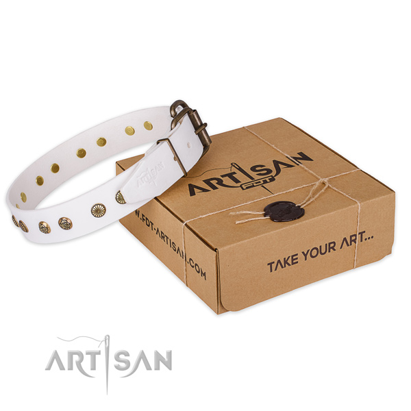 Corrosion proof fittings on leather collar for your lovely four-legged friend