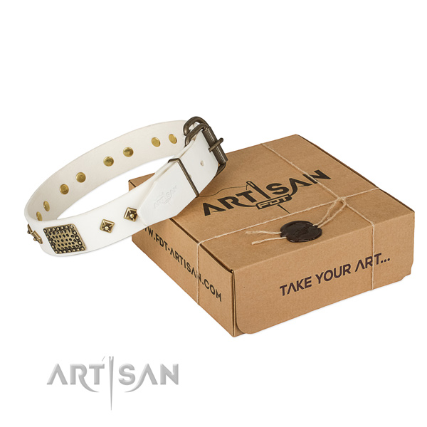 Decorated full grain genuine leather collar for your stylish pet