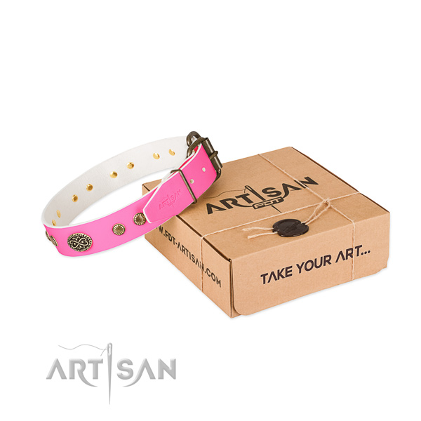 Reliable fittings on natural leather dog collar for your dog