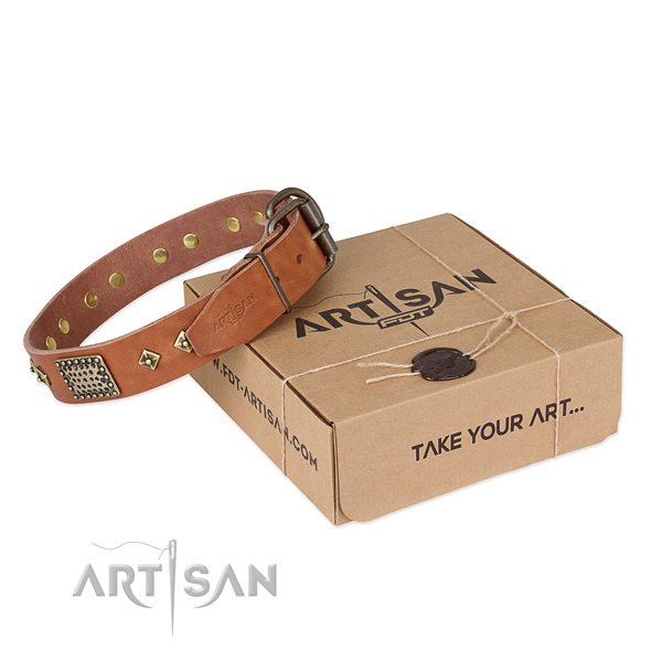 Stylish genuine leather collar for your stylish doggie