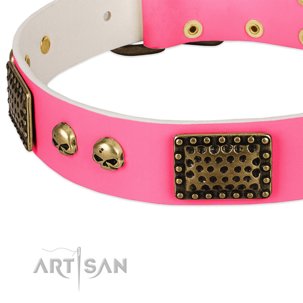 Rust resistant fittings on leather dog collar for your dog