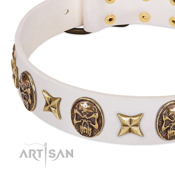 Best quality dog collar handcrafted for your beautiful pet