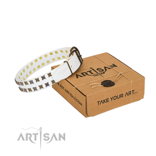 Quality natural leather dog collar created for your four-legged friend