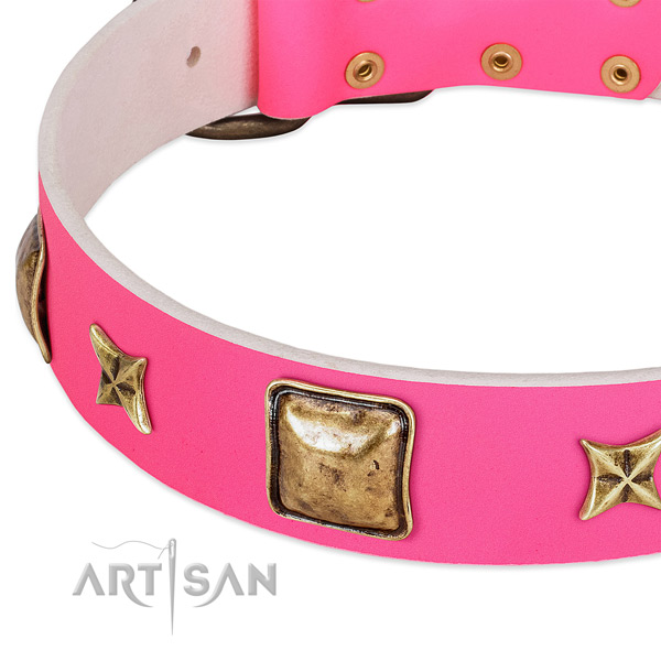 Full grain leather dog collar with unique decorations