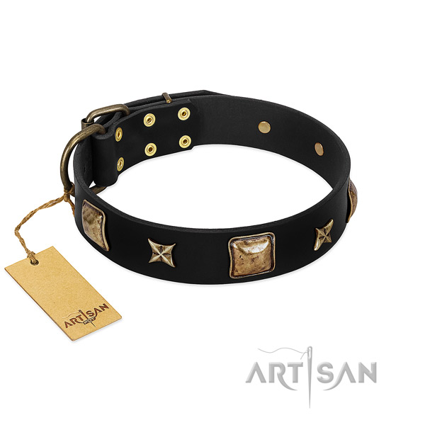 Natural leather dog collar of soft material with top notch embellishments