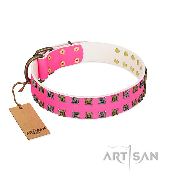 Leather collar with unique studs for your four-legged friend