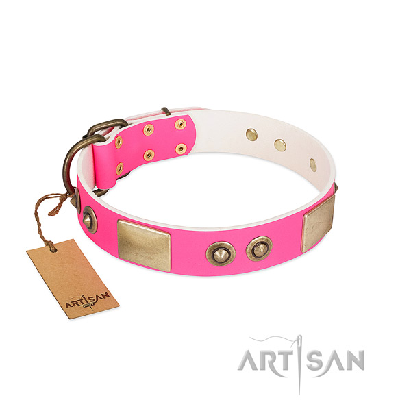 Corrosion proof decorations on full grain leather dog collar for your doggie