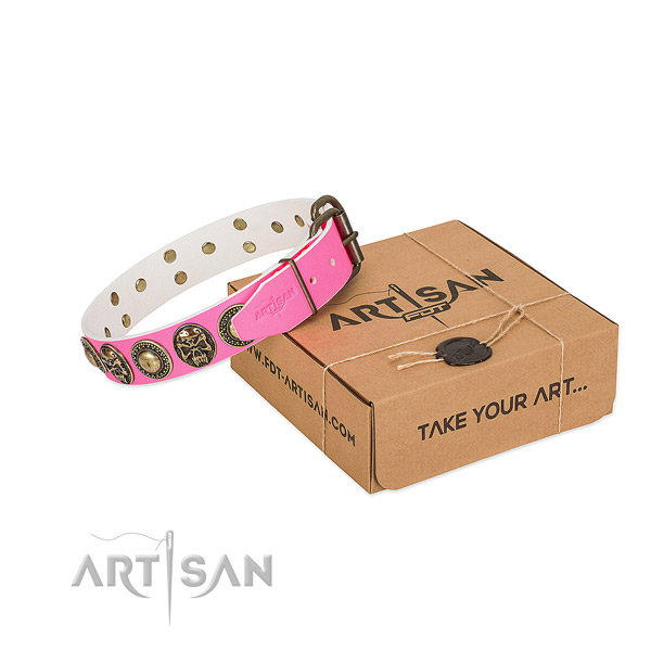 Rust resistant hardware on dog collar for everyday use