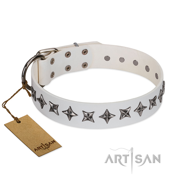 Stylish walking dog collar of fine quality leather with studs