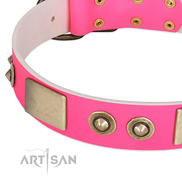 Rust-proof embellishments on leather dog collar for your four-legged friend