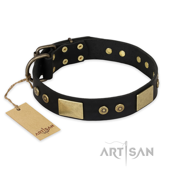 Awesome leather dog collar for walking