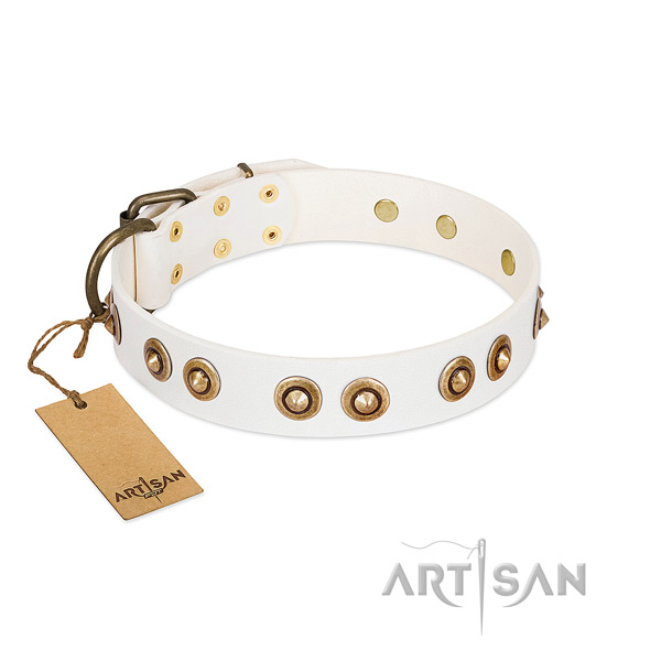 Amazing leather collar for your four-legged friend