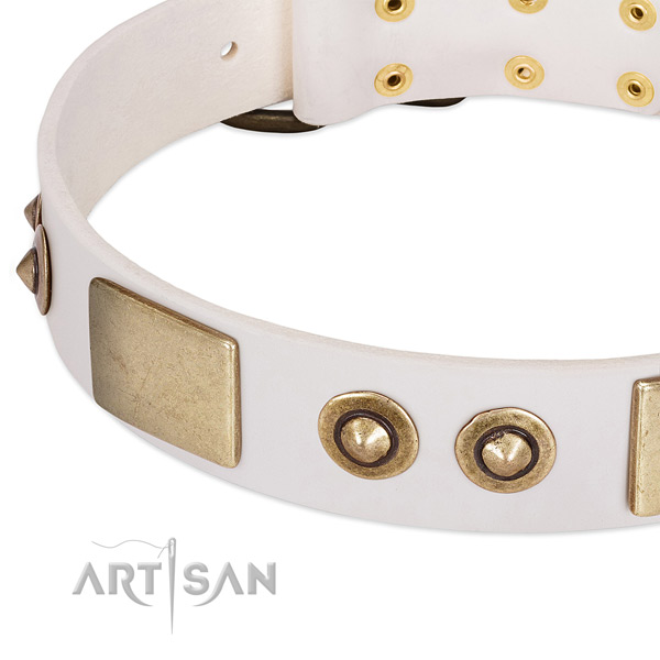 Rust-proof D-ring on leather dog collar for your four-legged friend