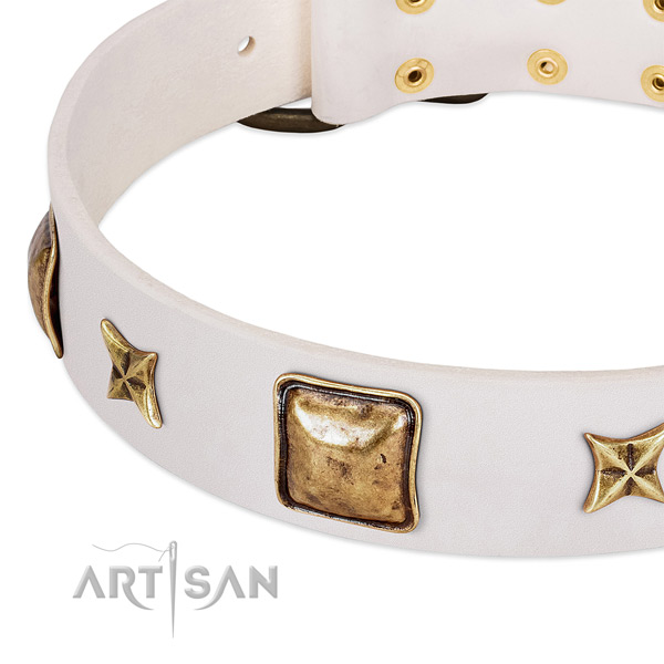 Corrosion proof buckle on full grain leather dog collar for your four-legged friend