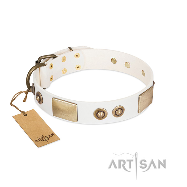 Rust resistant buckle on genuine leather dog collar for your doggie