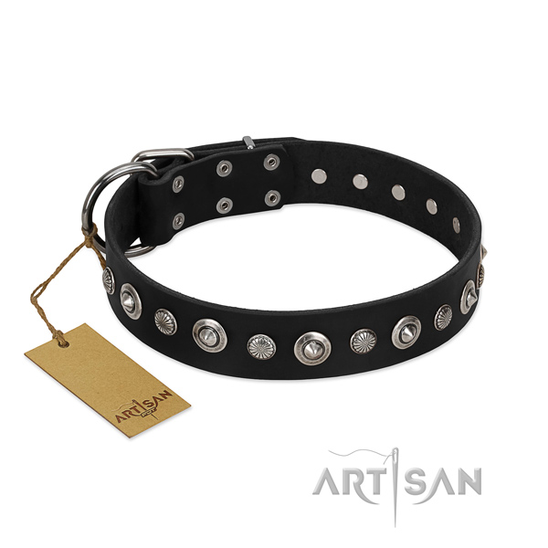 Reliable natural leather dog collar with trendy embellishments