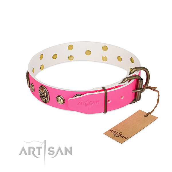 Rust resistant fittings on genuine leather dog collar for your dog