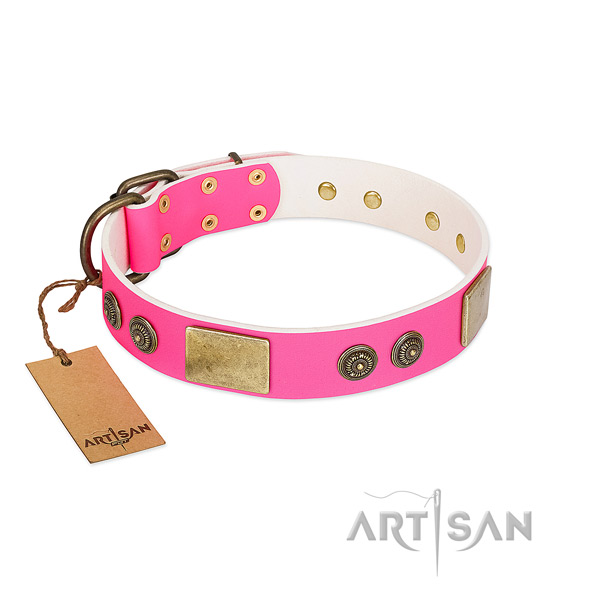 Stylish design genuine leather dog collar for everyday use