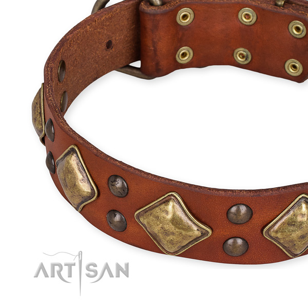 Full grain genuine leather collar with rust-proof traditional buckle for your beautiful four-legged friend