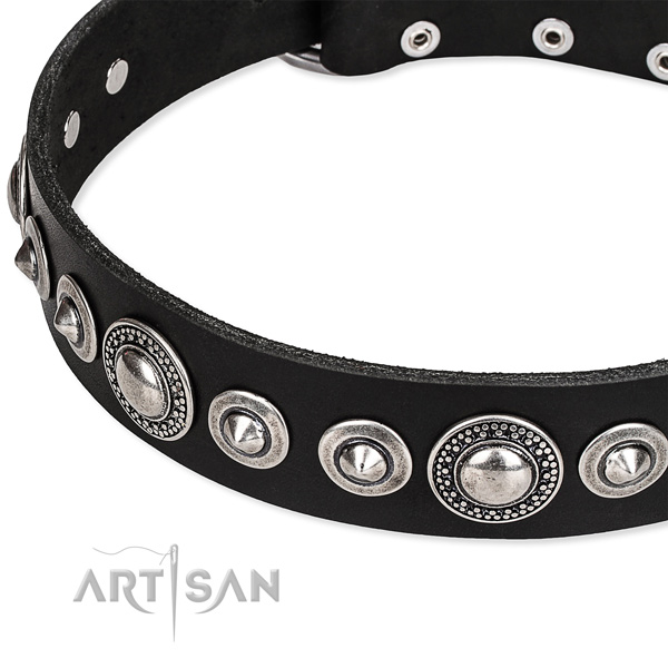 Fancy walking embellished dog collar of high quality full grain genuine leather