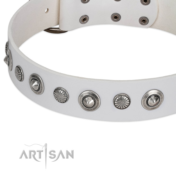 Full grain natural leather collar with strong fittings for your stylish four-legged friend