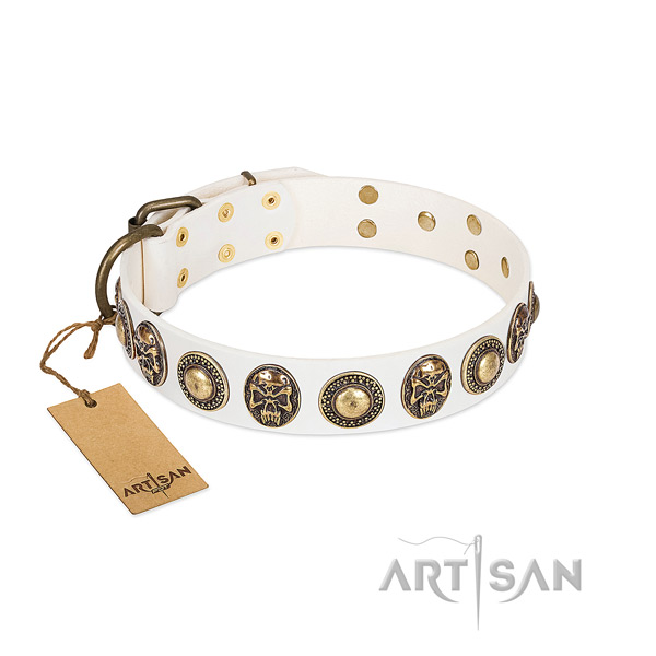 Easy wearing genuine leather dog collar for stylish walking your canine