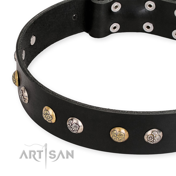 Genuine leather dog collar with impressive corrosion proof decorations