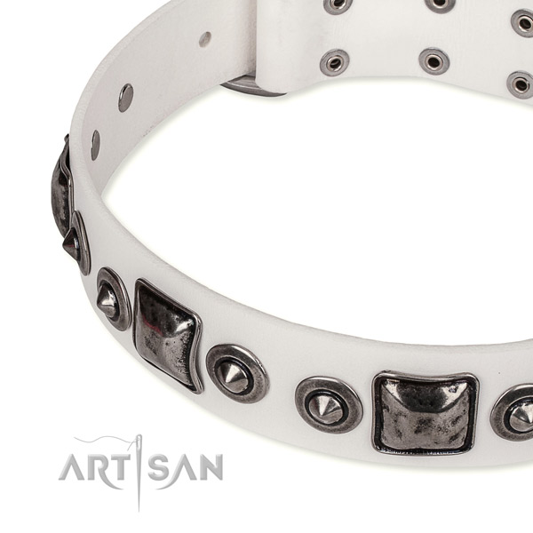 Top notch full grain natural leather dog collar crafted for your impressive four-legged friend