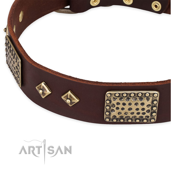 Corrosion proof studs on genuine leather dog collar for your canine