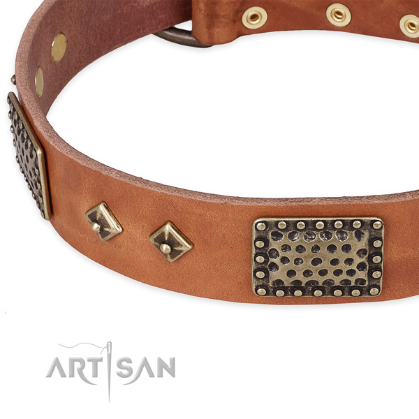 Reliable D-ring on natural leather dog collar for your canine