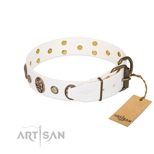 Corrosion proof hardware on full grain leather collar for fancy walking your doggie