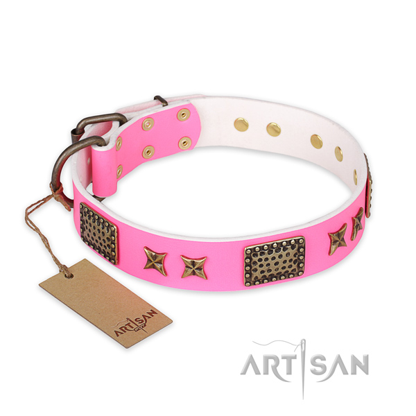 Studded full grain leather dog collar with rust-proof traditional buckle