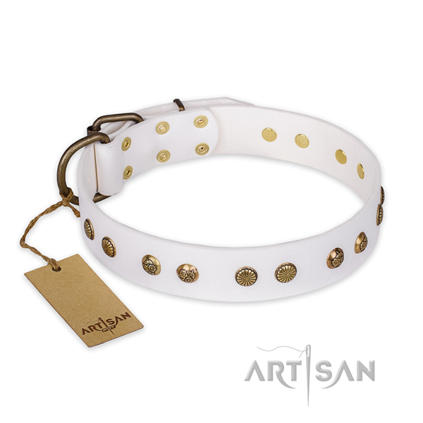 Awesome leather dog collar with rust resistant D-ring
