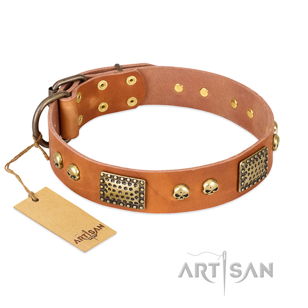 Adjustable full grain natural leather dog collar for walking your dog