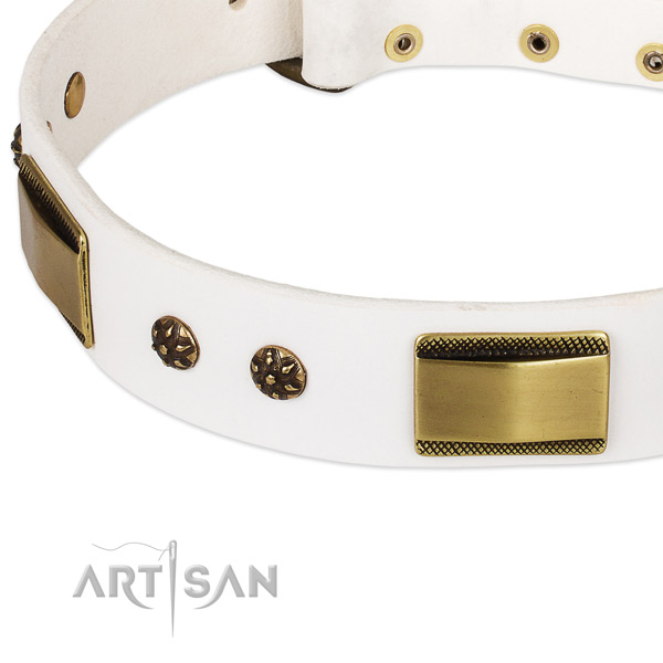 Corrosion resistant traditional buckle on genuine leather dog collar for your four-legged friend