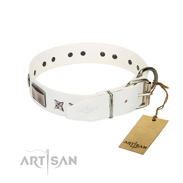 Comfortable collar of natural leather for your beautiful doggie