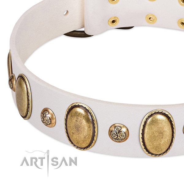 Leather dog collar with impressive embellishments