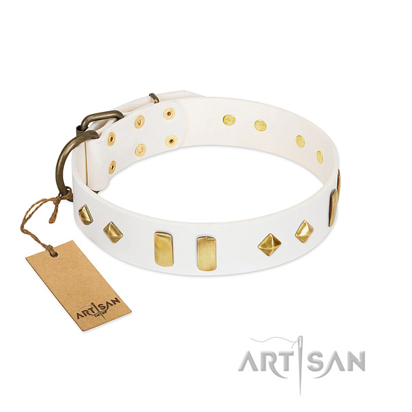 Fancy walking gentle to touch full grain genuine leather dog collar with adornments