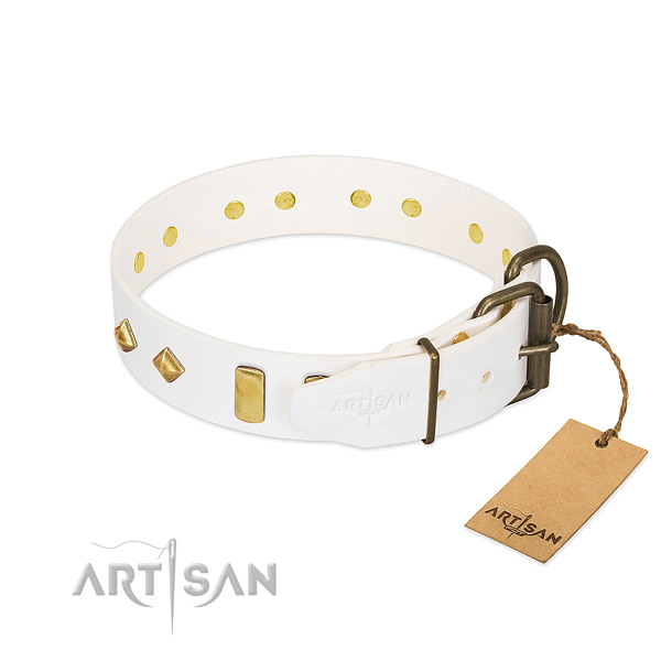 Reliable full grain leather dog collar with strong buckle