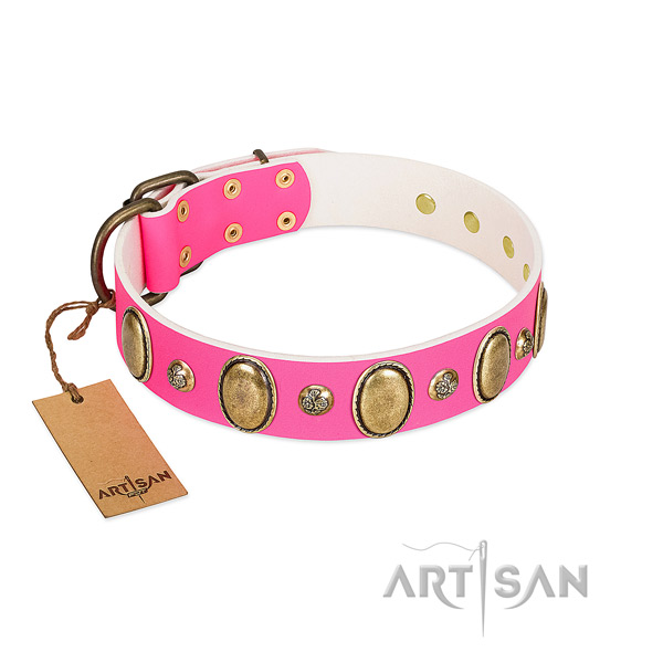 Full grain leather dog collar of high quality material with unique embellishments