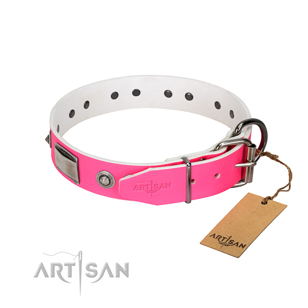 Trendy leather collar with adornments for your four-legged friend