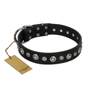 "Genteel Charm" FDT Artisan Black Leather German Shepherd Collar with Silver-like Round Conchos