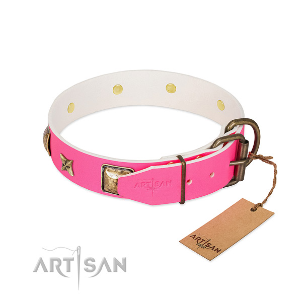 Corrosion resistant hardware on leather collar for walking your dog