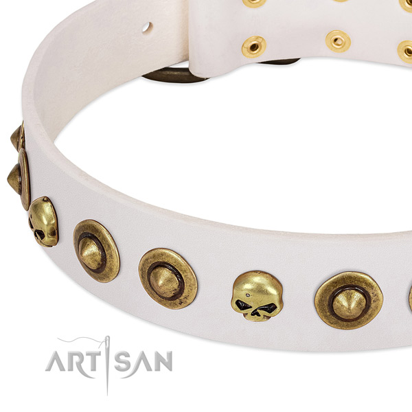 Extraordinary adornments on genuine leather collar for your doggie