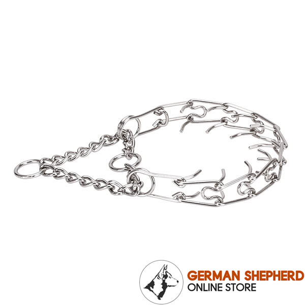 Rust resistant stainless steel prong collar for ill behaved canines